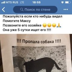 Подробнее об объявлении «Нижний Новгород Пропала собака кобель» Фото: пропала собака  «Нижний Новгород Пропала собака кобель» в г. Нижний Новгород
