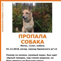 Подробнее об объявлении «Пропала собака кобель Москва» Фото: пропала собака  «Пропала собака кобель Москва» в г. Москва
