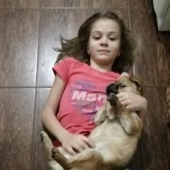 Подробнее об объявлении «Пропала собака это манюня она дружелюбная Динская» Фото: пропала собака  «Пропала собака это манюня она дружелюбная Динская» в г. Динская