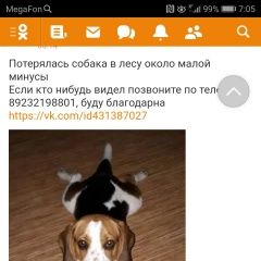 Подробнее об объявлении «Пропала собака кобель Минусинск» Фото: пропала собака Бигль «Пропала собака кобель Минусинск» в г. Минусинск