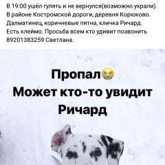 Подробнее об объявлении «Ярославль Пропала собака кобель 23.12 далматинец» Фото: пропала собака Далматин «Ярославль Пропала собака кобель 23.12 далматинец» в г. Ярославль