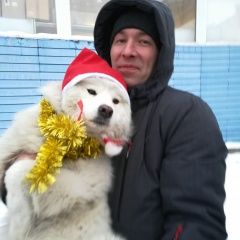 Подробнее об объявлении «Пропала собака Воронеж» Фото: пропала собака Самоедская лайка «Пропала собака Воронеж» в г. Воронеж