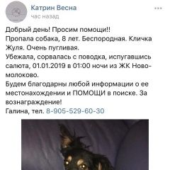 Подробнее об объявлении «Пропала собака Москва» Фото: пропала собака  «Пропала собака Москва» в г. Москва