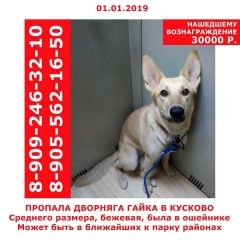 Подробнее об объявлении «Пропала собака Москва» Фото: пропала собака  «Пропала собака Москва» в г. Москва