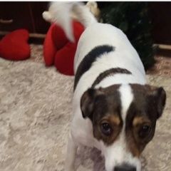 ����: None  ��������� ����� ������ (���)� � �. ������ (���)