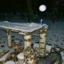 Подробнее об объявлении «Пропала собака кобель вознаграждение нашедшему или вернувшему Дмитров» Фото: пропала собака  «Пропала собака кобель вознаграждение нашедшему...» в г. Дмитров