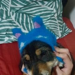 ����: ������� ������  �������� ������ ���� ������. �������. ��������....� � �. ����������