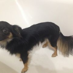 ����: ������� ������ ���-������ �������� ������� ������ ������� � �. �������