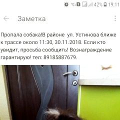 Подробнее об объявлении «Пропала собака кобель Шахты» Фото: пропала собака Ши-тцу «Пропала собака кобель Шахты» в г. Шахты