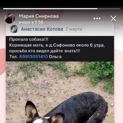 Подробнее об объявлении «Раменское Пропала собака вельш корги кардиган сука» Фото: пропала собака Вельш корги «Раменское Пропала собака вельш корги кардиган сука» в г. Раменское