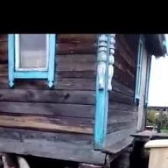 Подробнее об объявлении «Пропала собака кобель Ленинск-Кузнецкий» Фото: пропала собака  «Пропала собака кобель Ленинск-Кузнецкий» в г. Ленинск-Кузнецкий