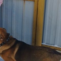 ����: ������� ������  �������� ������ ������ ������ ����� ��� � �. ���