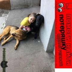 Подробнее об объявлении «Пропала собака кобель Москва» Фото: пропала собака  «Пропала собака кобель Москва» в г. Москва