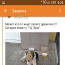 Подробнее об объявлении «Ярославль Пропала собака кобель убежал пёс» Фото: пропала собака Жесткошерстый фокстерьер «Ярославль Пропала собака кобель убежал пёс» в г. Ярославль