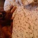 Подробнее об объявлении «Воронеж Пропала собака английский кокер спаниель» Фото: пропала собака Английский кокер-спаниель «Воронеж Пропала собака английский кокер спаниель» в г. Воронеж