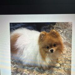 ����: ������� ������ ����������� ���� �������� ������ ������ ������� ���������� � �. ���������