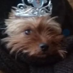 ����: ������� ������ ����������� ������ �������� ������ ��������� ������ ������� � �. �������