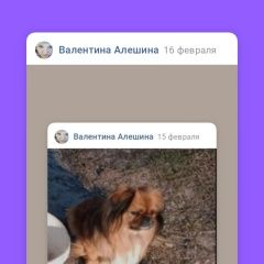 Подробнее об объявлении «Пропала собака кобель в районе п. сердовино пекинес 7 л Сызрань» Фото: пропала собака Пекинес «Пропала собака кобель в районе п. сердовино...» в г. Сызрань