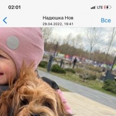 Подробнее об объявлении «Москва Пропала собака кобель» Фото: пропала собака Лхасский апсо «Москва Пропала собака кобель» в г. Москва