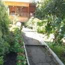 Подробнее об объявлении «Омск Пропала собака» Фото: пропала собака  «Омск Пропала собака» в г. Омск