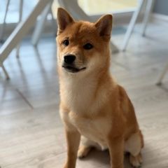 ����: ������� ������  �������� ������ ����� ����-��� ��������� � �. ��������