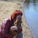 Подробнее об объявлении «Пропала собака Санкт-Петербург» Фото: пропала собака Русский той-терьер «Пропала собака Санкт-Петербург» в г. Санкт-Петербург