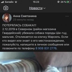 Подробнее об объявлении «Пропала собака Курган» Фото: пропала собака  «Пропала собака Курган» в г. Курган