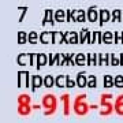 ����: ������� ������ ���� ������� ���� ������ ������� ������� ������ ������ / ������ ������� � �. ������