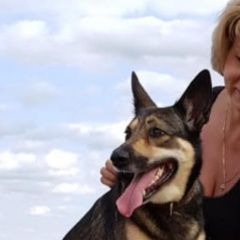 Подробнее об объявлении «Пропала собака Тверь» Фото: пропала собака  «Пропала собака Тверь» в г. Тверь