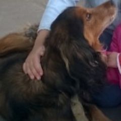 ����: ������� ������ ������� ��������� �������� ����������� ������� ������ ������� � �. ����������