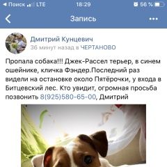 Подробнее об объявлении «Москва Пропала собака кобель срочно ищем» Фото: пропала собака Джек рассел терьер «Москва Пропала собака кобель срочно ищем» в г. Москва