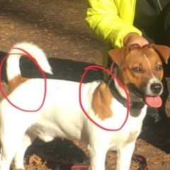 ����: ������� ������ ���� ������ ������ ������-��������� ������� ������ ������� � �. �����-���������