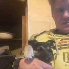 Подробнее об объявлении «Пропала собака кобель Санкт-Петербург» Фото: пропала собака  «Пропала собака кобель Санкт-Петербург» в г. Санкт-Петербург