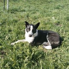 ����: ������� ������  �������� ������ ������ �������������� � �. �������������