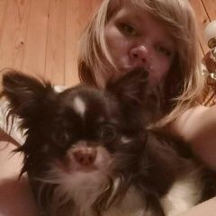 Подробнее об объявлении «Пропала собака кобель Одинцово» Фото: пропала собака Чихуахуа «Пропала собака кобель Одинцово» в г. Одинцово