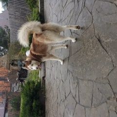 ����: ������� ������ ��������� ����� ������� ������� ������ ������� � �. ������