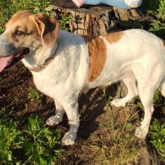 ����: ������� ������ ������ ��������� ������� ������ � �. ��������