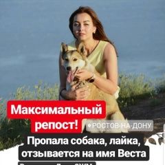 Подробнее об объявлении «Ростов-на-Дону Пропала собака» Фото: пропала собака Сибирская хаски «Ростов-на-Дону Пропала собака» в г. Ростов-на-Дону