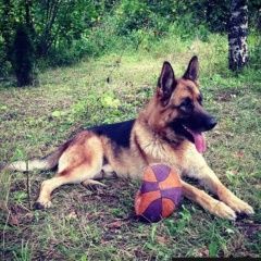 ����: ������� ������ �������� ������� ���������� ������� ������ �������� �������, ����.� � �. ���������