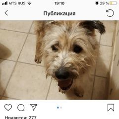 ����: ������� ������  �������� ������ ������ ������ � �. ������