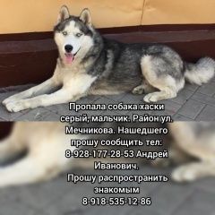 Подробнее об объявлении «Ростов-на-Дону Пропала собака кобель» Фото: пропала собака Сибирская хаски «Ростов-на-Дону Пропала собака кобель» в г. Ростов-на-Дону