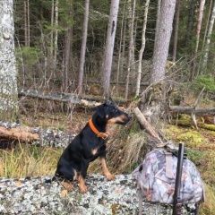 ����: ������� ������ ���-������ �������� ������ ������ ����� � �. ����