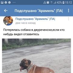 Подробнее об объявлении «Пропала собака кобель Арамиль» Фото: пропала собака Бульмастиф «Пропала собака кобель Арамиль» в г. Арамиль