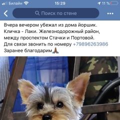 Подробнее об объявлении «Ростов-на-Дону Пропала собака» Фото: пропала собака Йоркширский терьер «Ростов-на-Дону Пропала собака» в г. Ростов-на-Дону