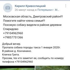 Подробнее об объявлении «Пропала собака Дмитров» Фото: пропала собака Такса «Пропала собака Дмитров» в г. Дмитров