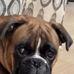 ����: ������� ������ ������ ���� ������� ������ ������, �������� ������ � �. ���