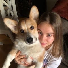 Подробнее об объявлении «Пропала собака кобель Истра» Фото: пропала собака Вельш корги «Пропала собака кобель Истра» в г. Истра