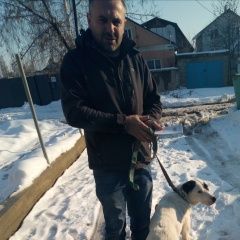 Подробнее об объявлении «Пропала собака помогите в поиске лейлы Самара» Фото: пропала собака  «Пропала собака помогите в поиске лейлы Самара» в г. Самара