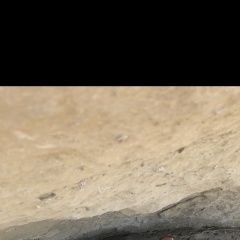 Подробнее об объявлении «Пропала собака кобель  срочно  джек рассе Симферополь» Фото: пропала собака Джек рассел терьер «Пропала собака кобель  срочно  джек рассе...» в г. Симферополь