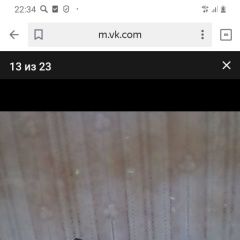 Подробнее об объявлении «Москва Пропала собака кобель» Фото: пропала собака  «Москва Пропала собака кобель» в г. Москва